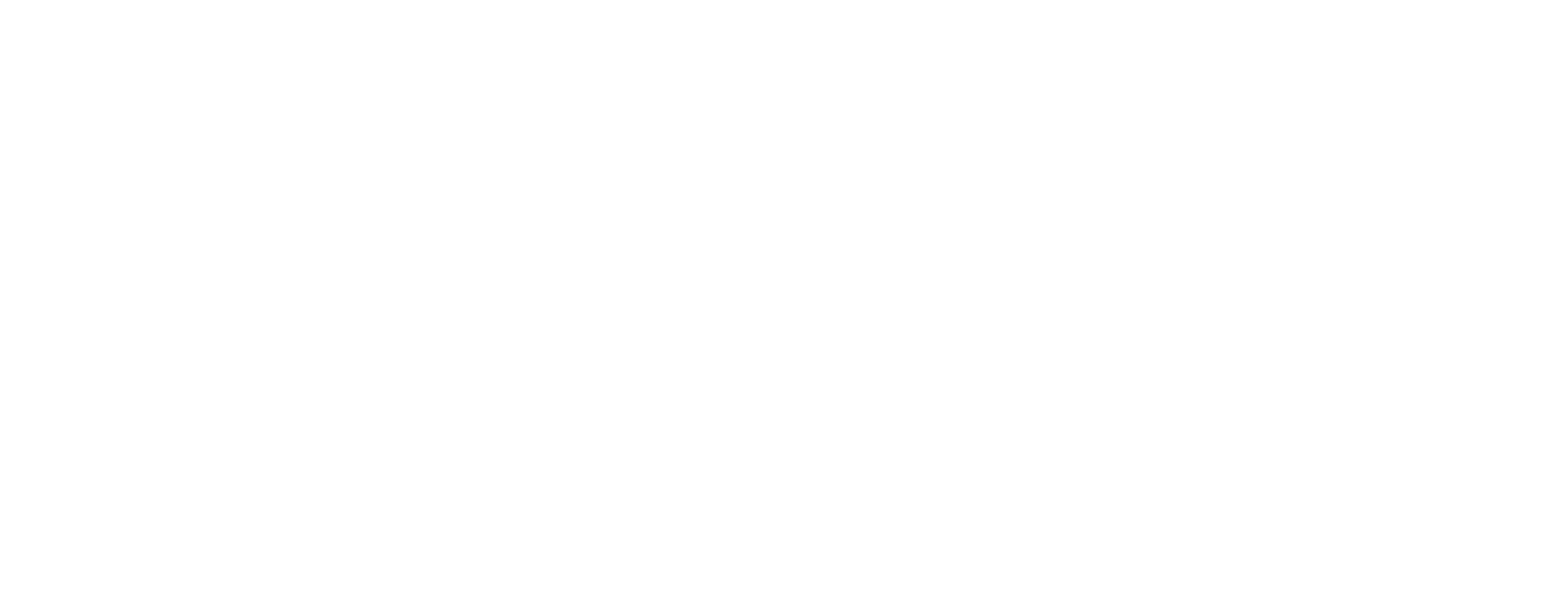 Bikehotel Braunschweig Logo